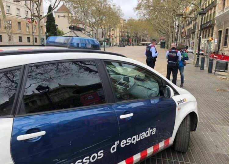 Hombre se disfraza de perro para evadir cuarentena por el covid-19 en España