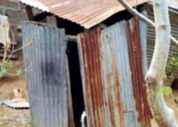 Capturan a mujer que habría lanzado a su hija recién nacida a una fosa séptica