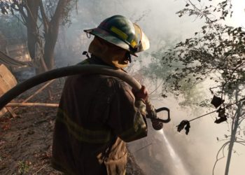 Bomberos sofocan incendio en cercanías de Centro Judicial Isidro Menéndez