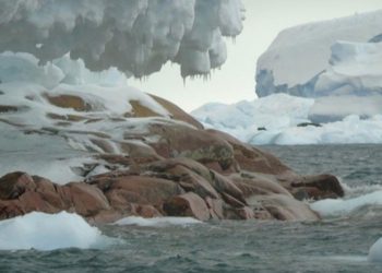 Por deshielo, aparece en la Antártida una isla que no estaba en los mapas