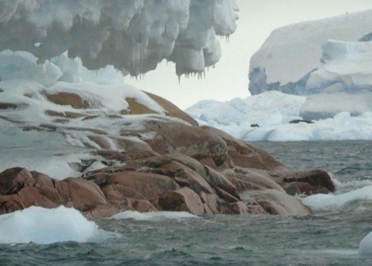 Por deshielo, aparece en la Antártida una isla que no estaba en los mapas