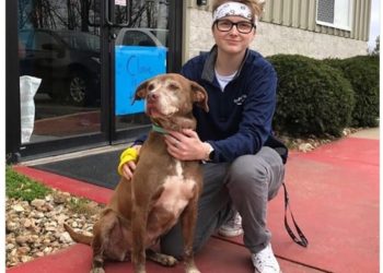 Perrita encuentra hogar después de esperar más de 7 años en un refugio para animales