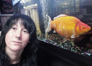 Lleva a casa un pez dorado pero resulta ser un ‘monstruo’ carnívoro