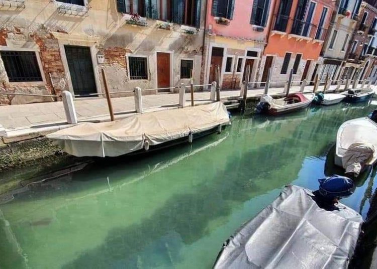 (VIDEOS) El agua de los canales de Venecia se vuelve cristalina durante la cuarentena