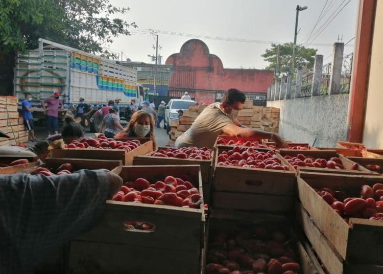 Comerciantes anónimos regalan 1,500 cajas de tomates a familias en Ciudad Delgado