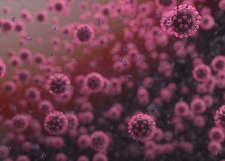 La OMS asegura que aún no se puede determinar con precisión el origen del coronavirus