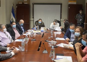Diputados evalúan realizar algunas comisiones legislativas a través de videoconferencia