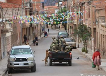 En Bolivia soldados rescatan a perritos callejeros durante cuarentena