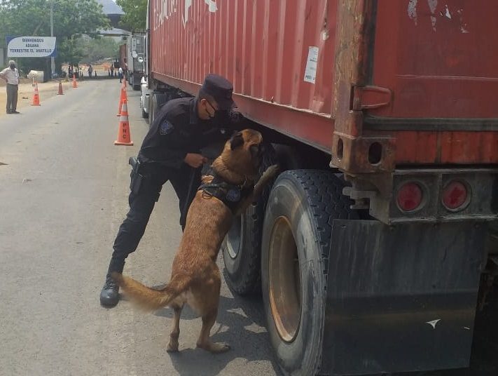 Unidad Canina mantiene intenso trabajo en fronteras terrestres en emergencia del covid-19