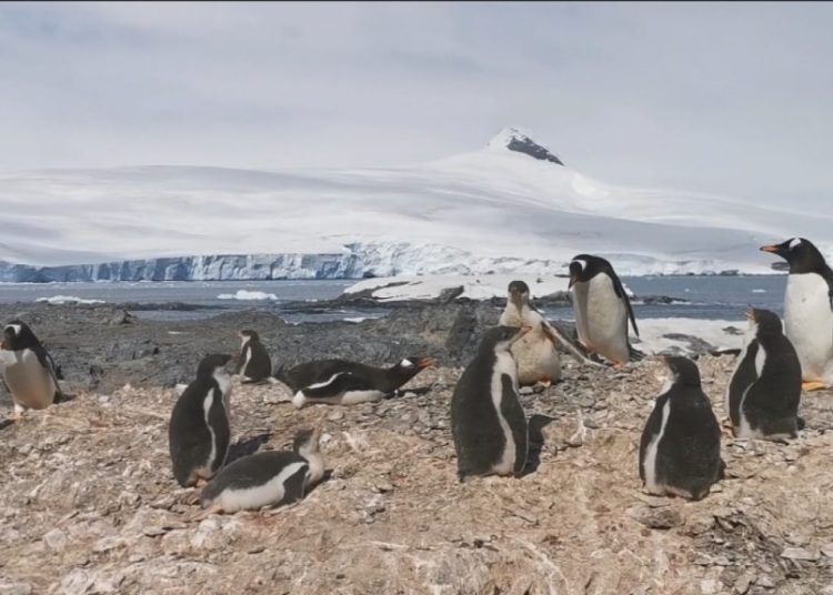 Se registra por primera vez una ‘ola de calor’ en la Antártida