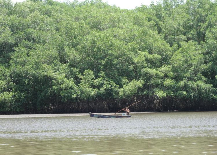 SALVANATURA lanza campaña “La Década Verde”