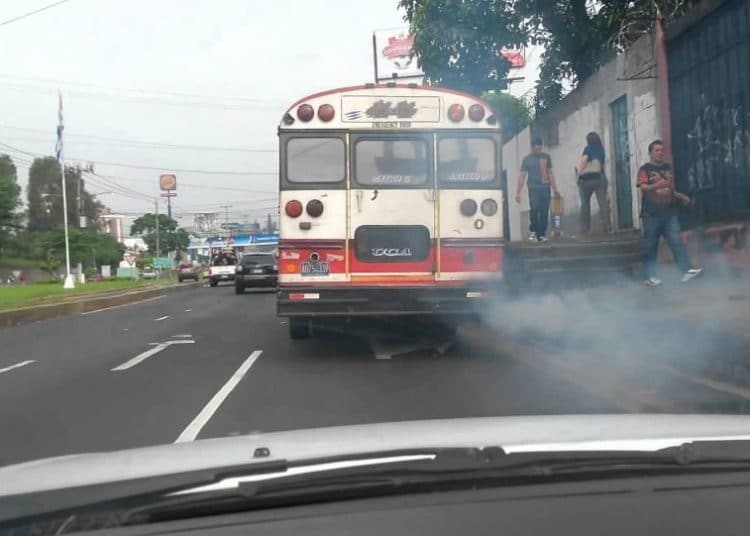 Parlamentaria apoya nacionalización del transporte público