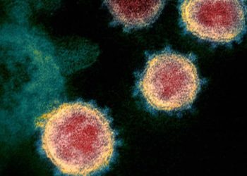 China encuentra anticuerpos «eficaces» contra el nuevo coronavirus