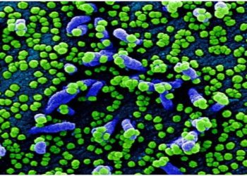 Explican cómo el coronavirus se camufla cual «lobo con piel de cordero» para engañar a nuestro organismo