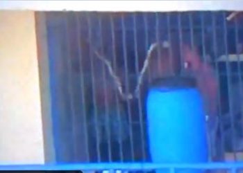 Órdenes de asesinatos desde centros penales son dadas por sujetos que salen libres, afirma presidente Bukele