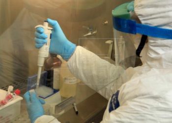 Identifican en Cataluña un fármaco que bloquea los efectos del coronavirus