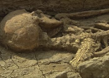 Localizan restos de guerrero de hace 1.500 años con agujeros en el cráneo por cirugía