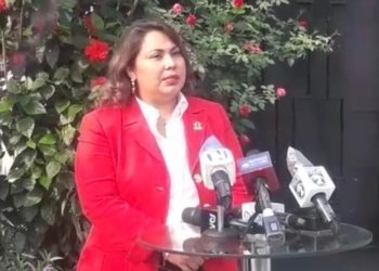 Procuradora insiste en que padres demandados deben pagar cuota alimenticia de sus hijos