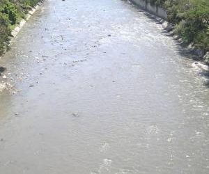 Las aguas del río Medellín se ven más cristalina durante la cuarentena