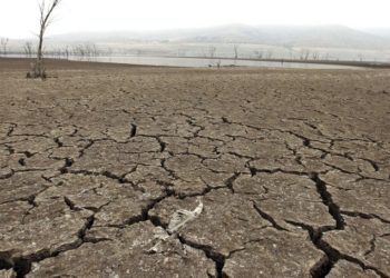 Pronostican que EE.UU. y el norte de México sufrirán la peor ‘megasequía’ en 1.200 años