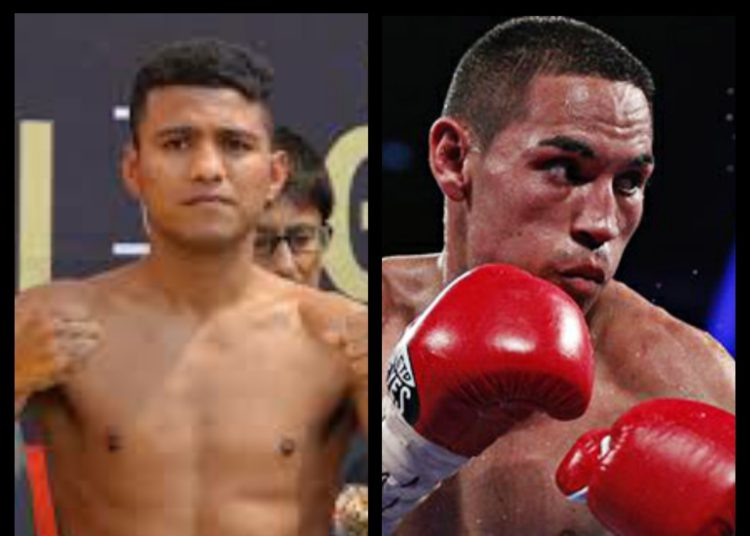 El ‘Gallo’ Estrada se mediría ante el ‘Chocolatito’ a finales de año