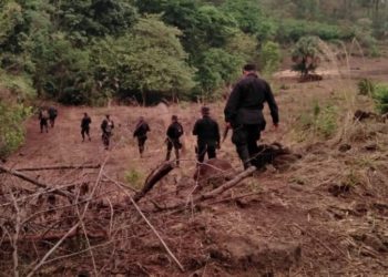 Agentes de la PNC patrullan manglares para localizar grupos criminales