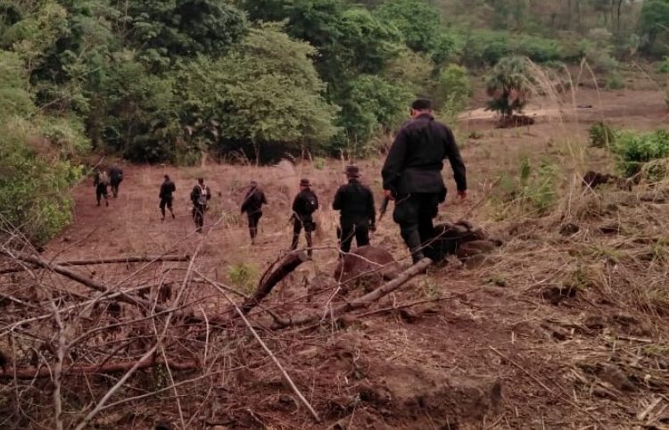 Agentes de la PNC patrullan manglares para localizar grupos criminales