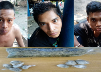 PNC captura a tres sujetos por tráfico ilícito de droga en Sonsonate