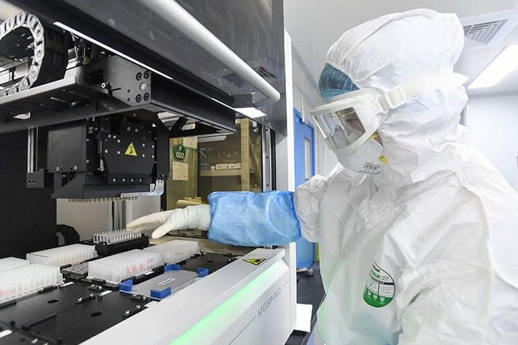 El laboratorio de Wuhan admite tener cepas vivas de coronavirus de murciélago, pero asegura que ninguna es igual al covid-19