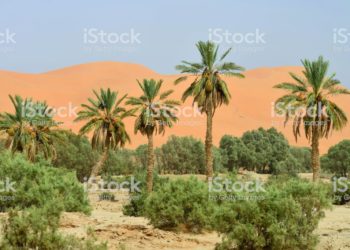 Unas 3.500 millones de personas vivirán en un clima similar al del Sahara para 2070