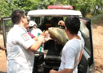 Encuentran cadáver flotando en río Acelhuate