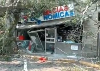 Cae árbol de amate sobre farmacia y la destruye, en blvd. Holcim en Santa Elena