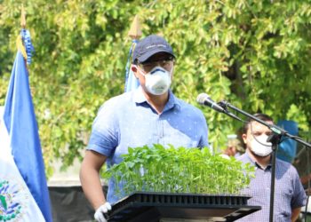 Miguel Pereira promueve huertos caseros para que familias produzcan alimento en emergencia del covid-19