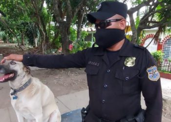 «Wokers» se incorpora a los patrullajes en Santa Tecla dentro del Plan Control Territorial