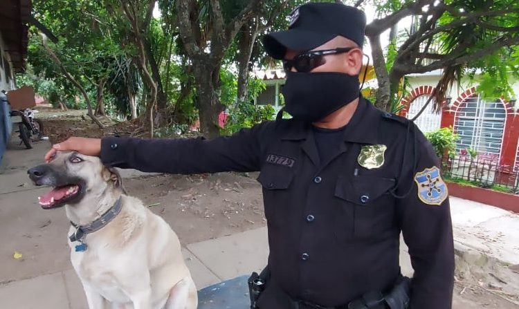 «Wokers» se incorpora a los patrullajes en Santa Tecla dentro del Plan Control Territorial