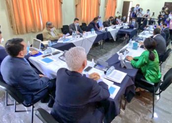 Comisión Política y Ejecutivo discuten si economía se puede abrir el 10 junio