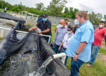 MAG apoya a acuicultores afectados por covid-19 en San Pablo Tacachico, La Libertad