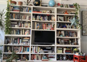 ¿Dónde está el gato? Se viraliza un nuevo reto que demuestra a las claras quiénes son los amos del camuflaje