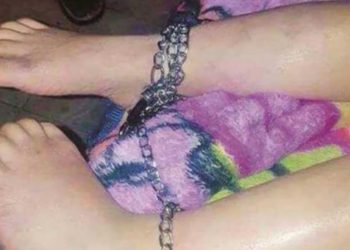 Rescatan a un niño que vivía en una jaula de perro rodeado de más de 600 animales