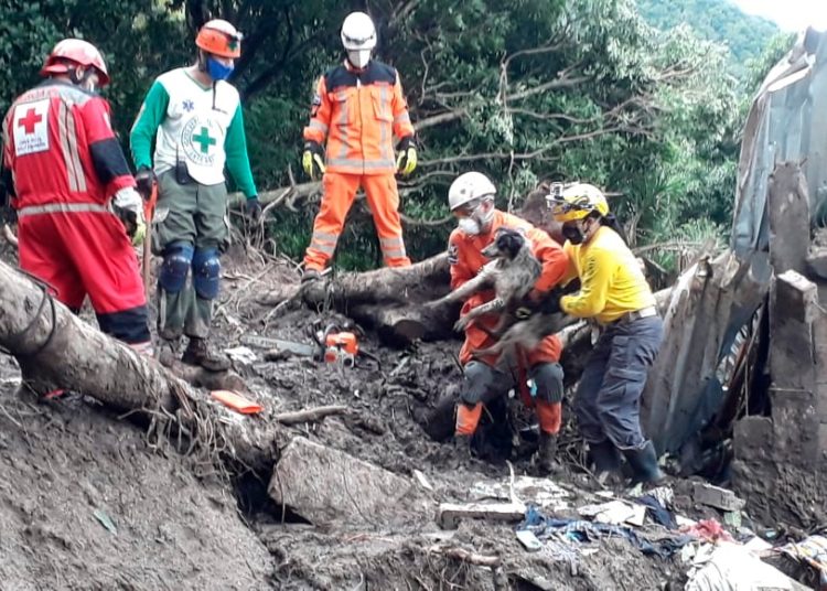 «Oso» sobrevive a deslave de Santo Tomás