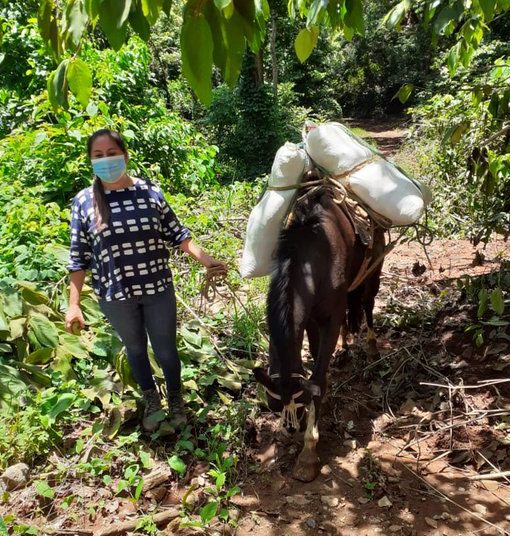 Educación invierte $7.8 millones en programa de Alimentación Escolar durante cuarentena domiciliar