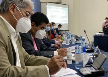 Ponce lamenta que autoridades de Salud no acudan a la Asamblea a defender el decreto presentado por el Ejecutivo para frenar la pandemia