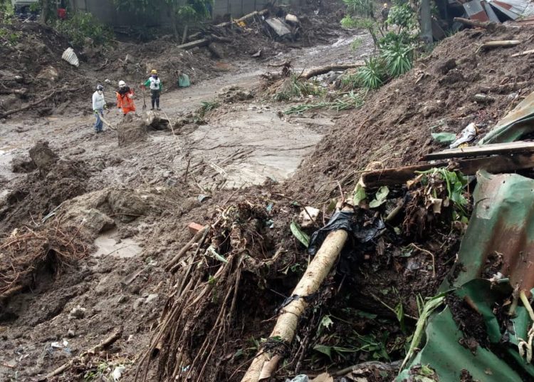 «Oso» sobrevive a deslave de Santo Tomás