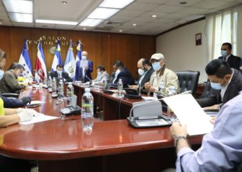 Diputados podrían superar veto presidencial a decreto de reapertura económica