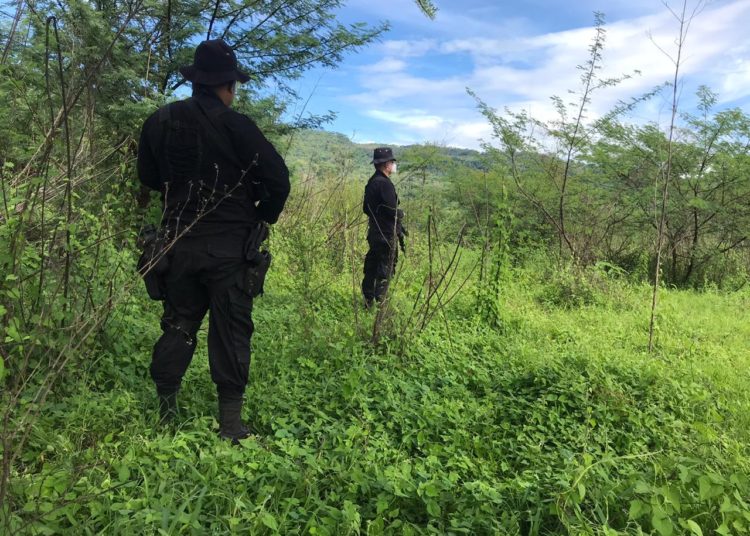 Lunes cerró sin homicidios en el país; en un año de gestión gubernamental son 25 días sin asesinatos