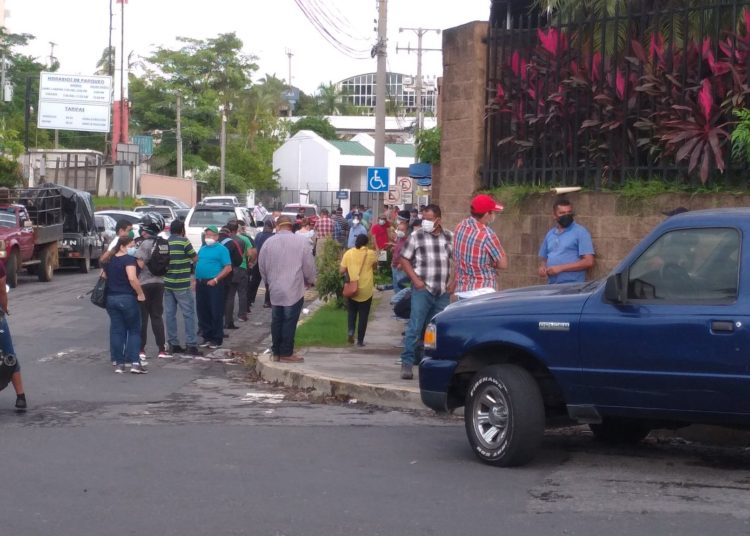 Carolina Recinos: «No vamos a pasar a la fase dos de reapertura si la situación de covid-19 se complica en el país»