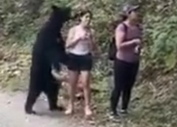 (VIDEO) Un oso negro ‘abraza’ a una mujer, pero esta mantiene la calma y hasta logra tomarse un selfi