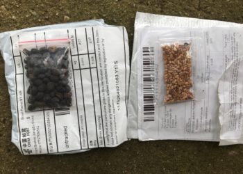 Decenas de estadounidenses reciben desde China paquetes con semillas y nadie sabe por qué