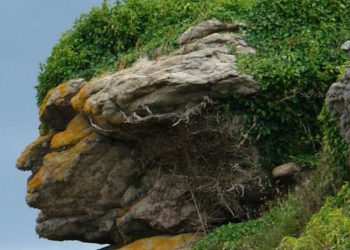 Si ves un rostro en esta imagen tienes pareidolia