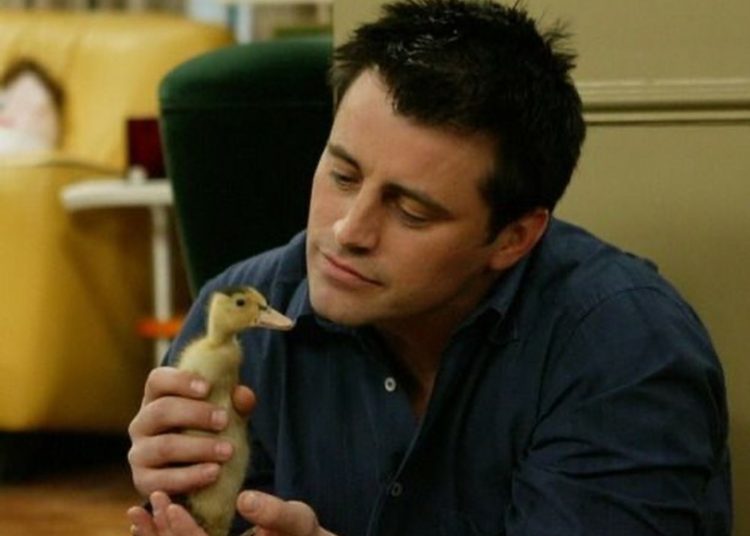 Joey de Friends luce irreconocible en la actualidad, mira el antes y después de Matt LeBlanc